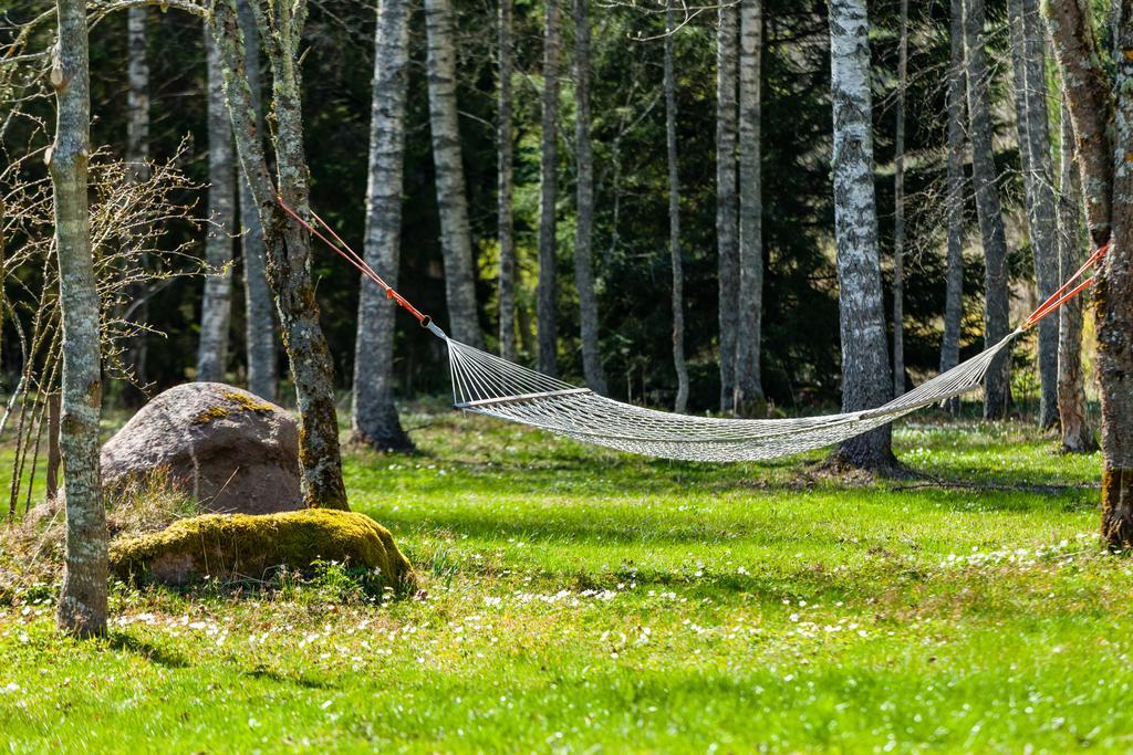 Adami Country Guesthouse Vainupea Εξωτερικό φωτογραφία