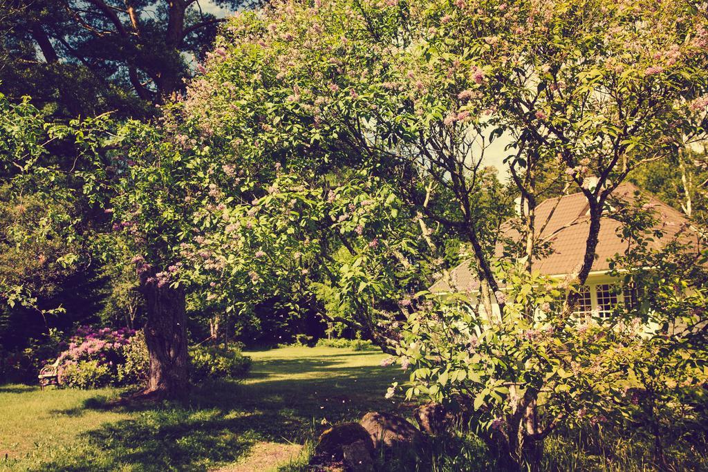 Adami Country Guesthouse Vainupea Εξωτερικό φωτογραφία