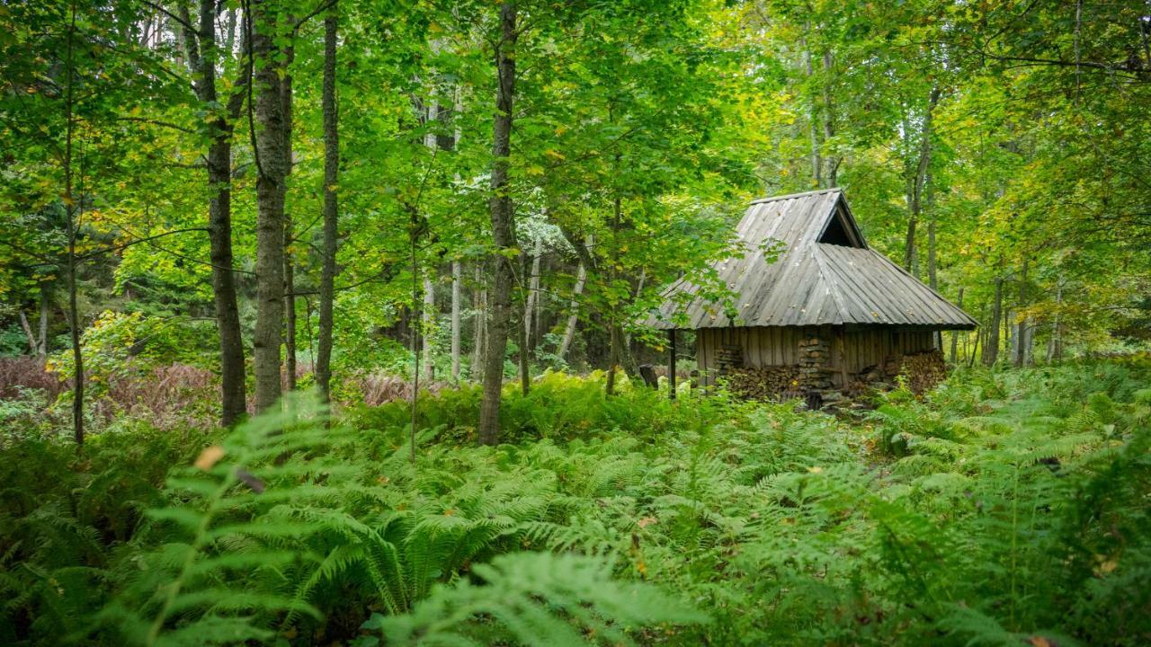 Adami Country Guesthouse Vainupea Εξωτερικό φωτογραφία